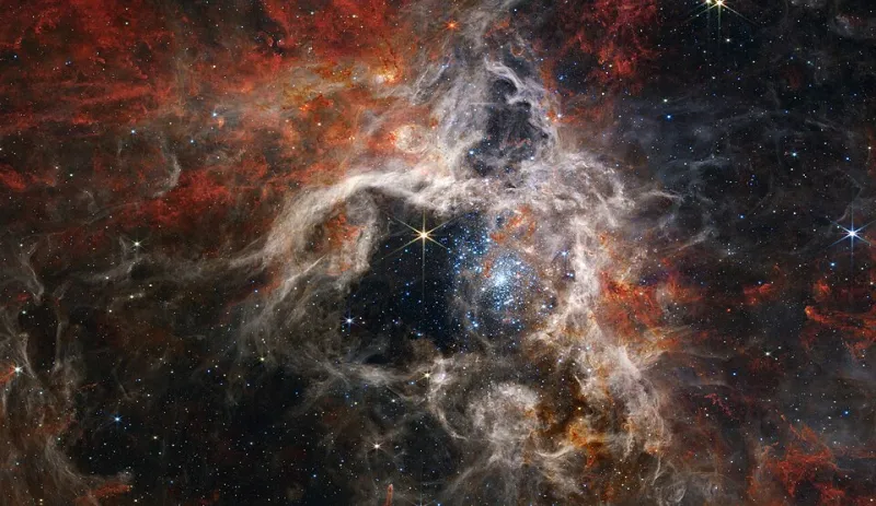 Billion-Sun Beasts: 5 JWST Finds That Have Cosmologists Rethinking Early Black Holes