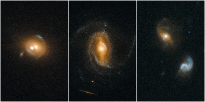 The Cosmic Neighborhood Watch: Why Some Quasars Switch On Together While Others Stay Dark